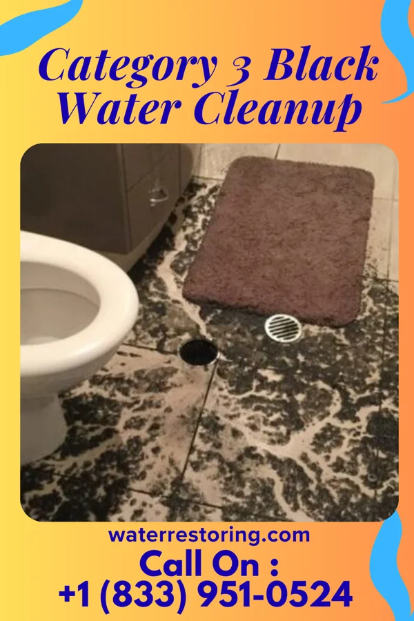 Category 3 Black Water Cleanup in Reightown, PA