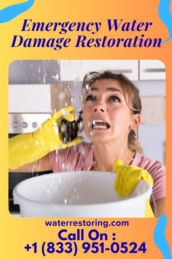 Emergency Water Damage Restoration in Reightown, PA