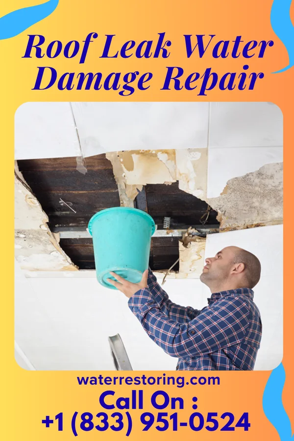 Roof Leak Water Damage Repair in Reightown, PA
