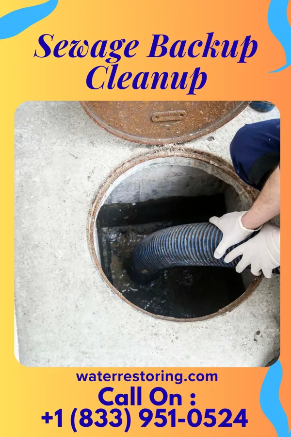 Sewage Backup Cleanup in Reightown, PA